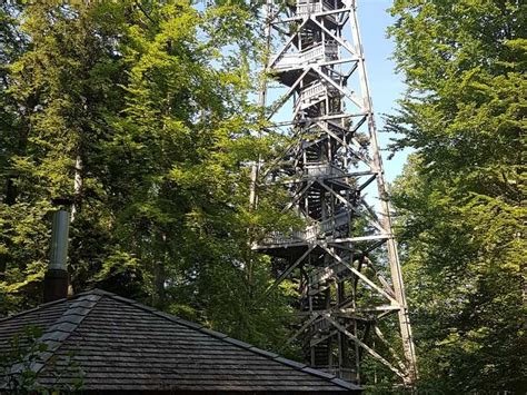 Aussichtsturm Loorenkopf: Wanderungen und Rundwege